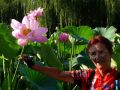 3� �a�o�u�t� �:� �p�l�a�n� �d�e� �l�o�t�u�s�.���